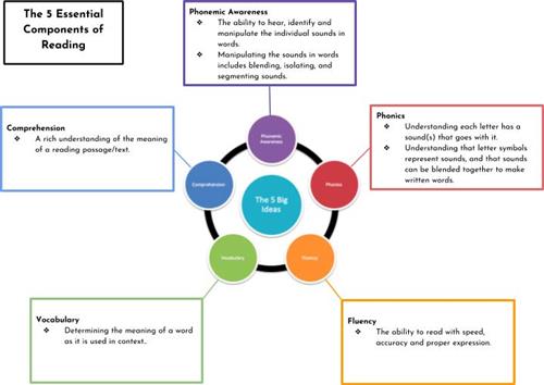 The 5 Essential Components of Reading 